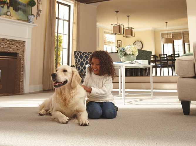 Person with dog sitting on a carpeted floor in a living room.