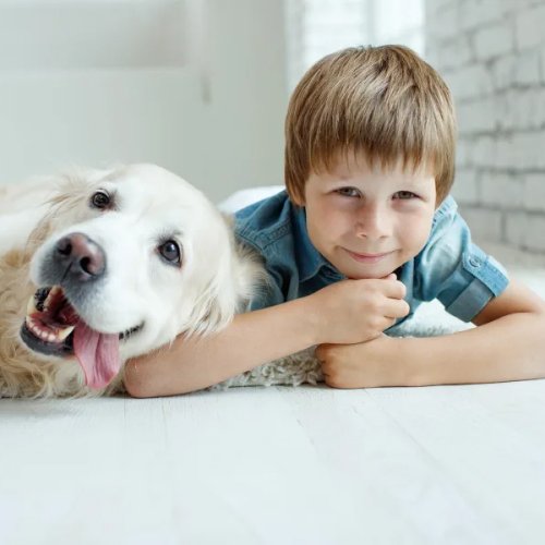 boy laying on the floor besides his dog