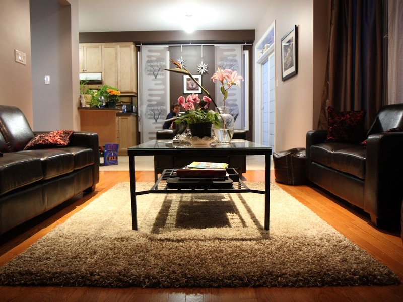 Area Rug in Living Room